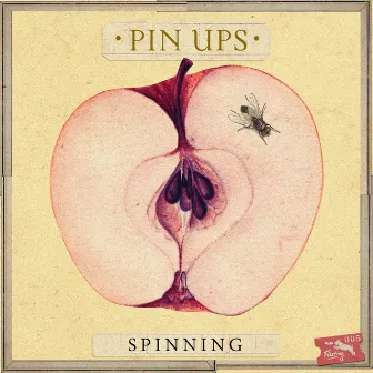 Spinning by Pin Ups