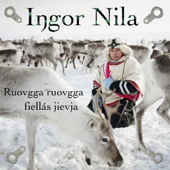 Ruovgga ruovgga fiellás jievja by Ingor Nila