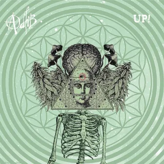 Up! by Adlib