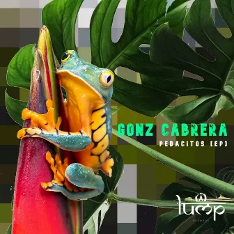 Pedacitos (Max TenRom Remix) by Gonz Cabrera