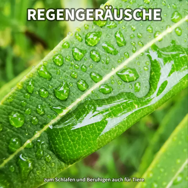 Regengeräusche, Pt. 1