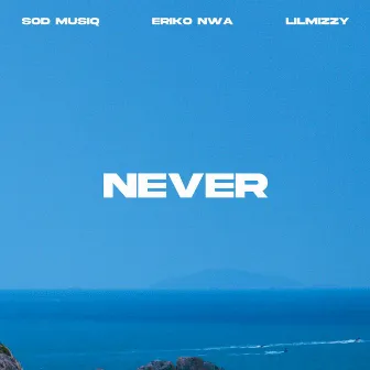 NeVeR by Eriko NWA