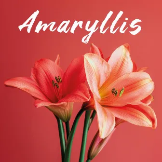 Amaryllis by Kristina Fagervold