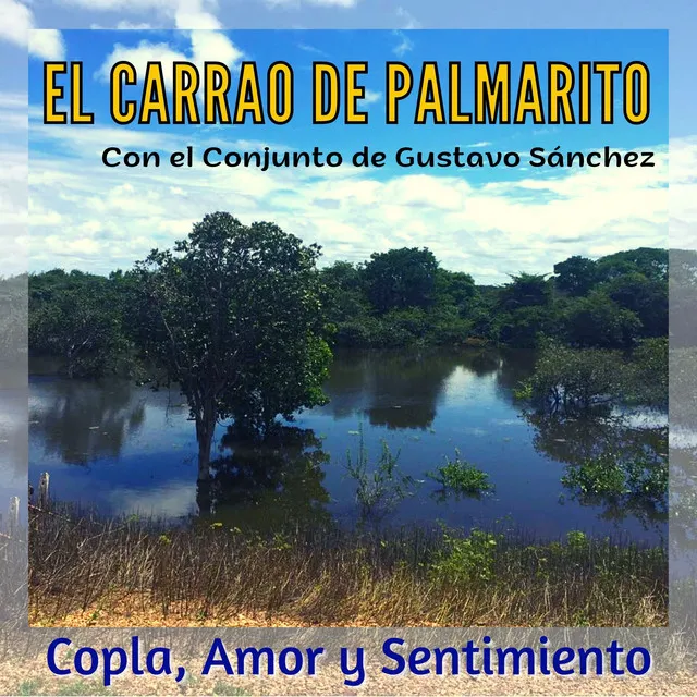 Coplagal para Barinas