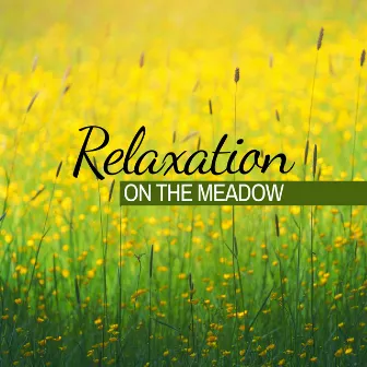 Relaxation on The Meadow by Mind State Zen Dimension