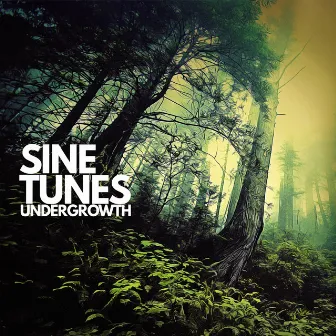 Undergrowth by Sine Tunes