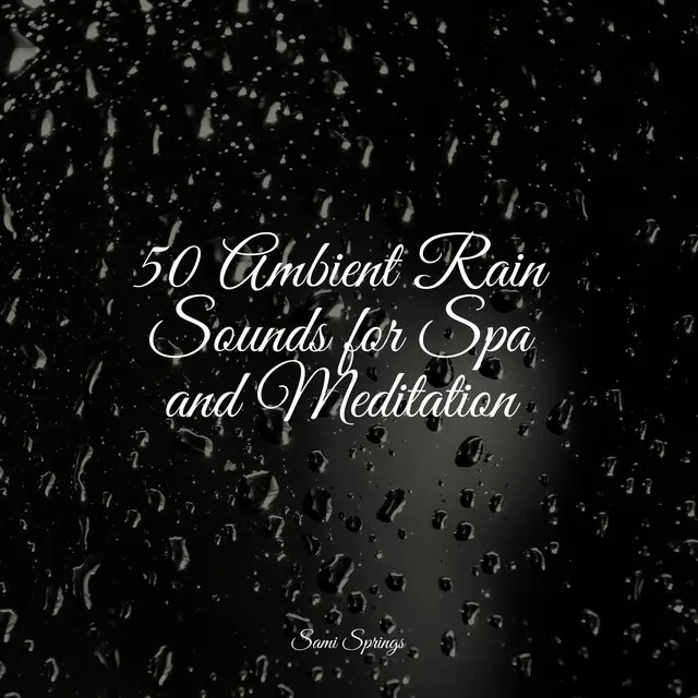 50 Sounds of Rain for Yoga