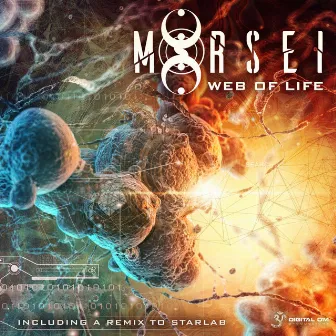 Web of Life by MoRsei