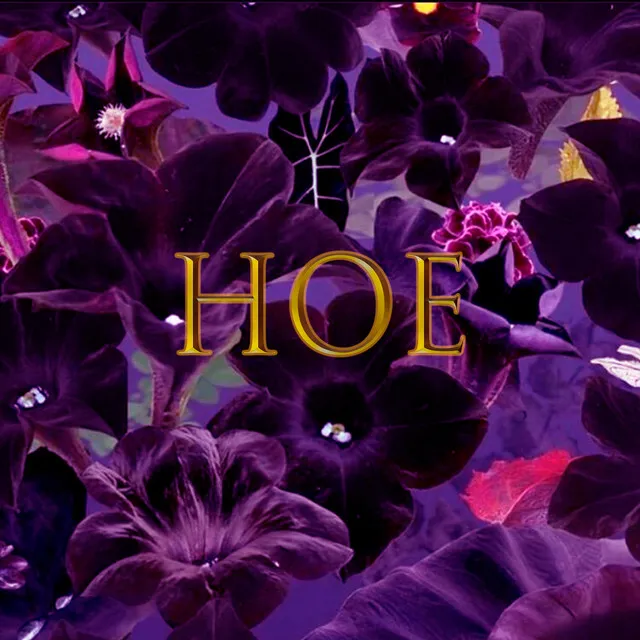 Hoe