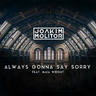 Always Gonna Say Sorry by Joakim Molitor