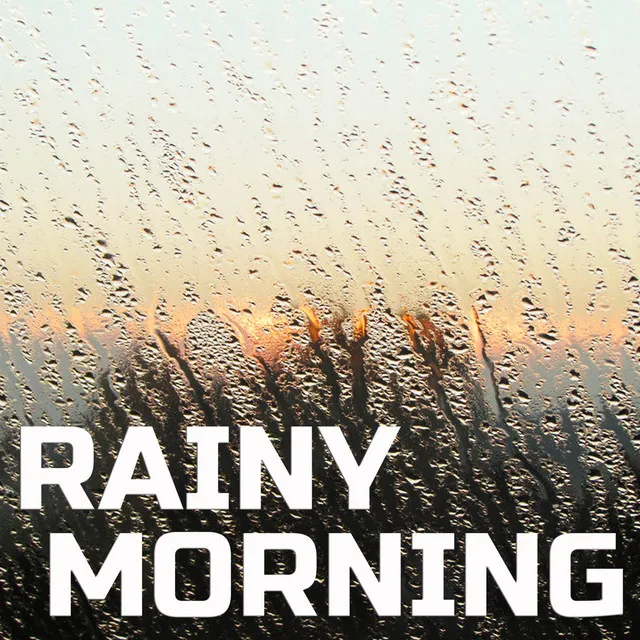 Morning Rain White Noise