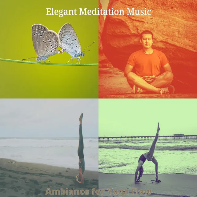 Majestic Music for Vipassana Meditation