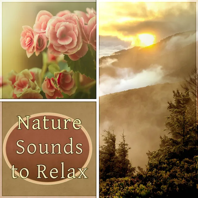 Nature Sounds to Relax – Relaxation, Oil Massage, Wellness & Spa, Reflexology, Reiki, Ayurveda, Shiatsu Massage, Spa Day, Meditation, Nature Sounds, Water Sounds