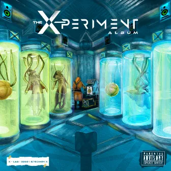 The XPERIMENT by Boogey