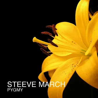 Pygmy by Steeve March