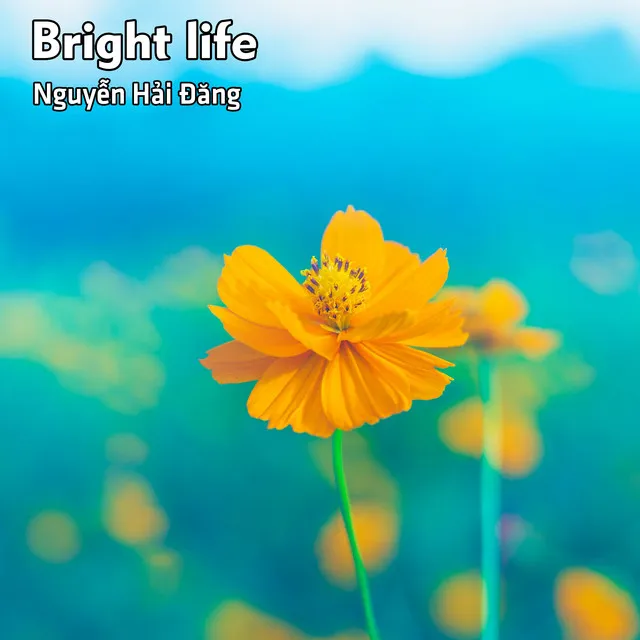 Bright life