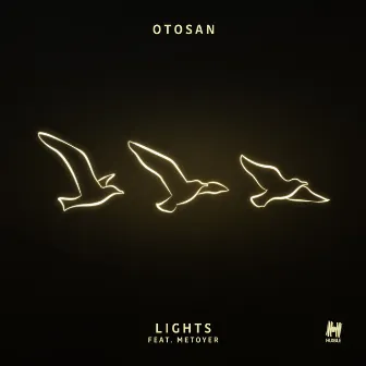 Lights by Otosan