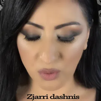 Zjarri Dashnis by Babeta Shahini