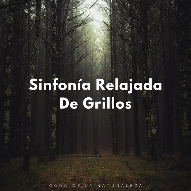 Sinfonía Relajada De Grillos: Coro De La Naturaleza