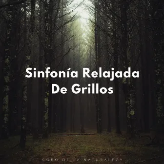 Sinfonía Relajada De Grillos: Coro De La Naturaleza by Colección de sonidos relajantes de la naturaleza