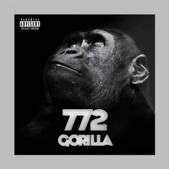 772 Gorilla by Lil Polo Da Don