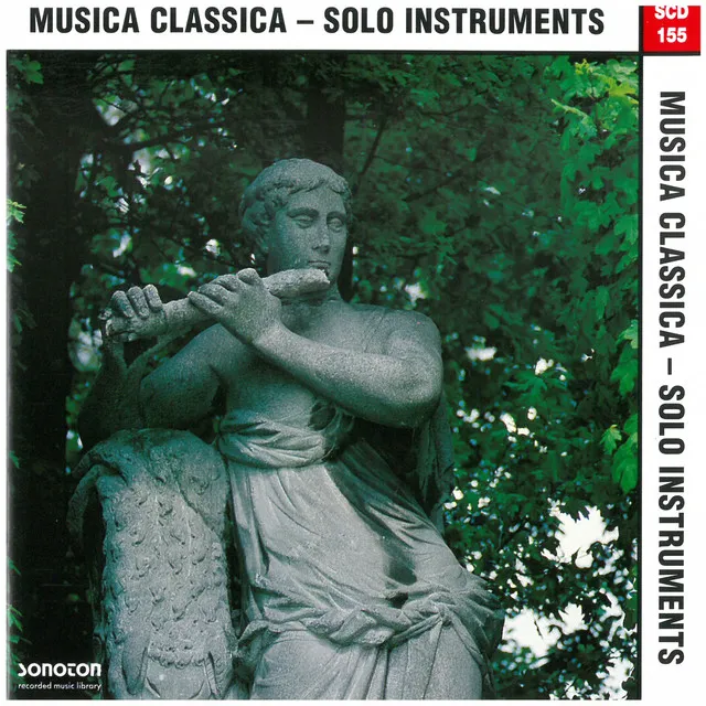 Classical Solo 14 Andante Cant.F.Symph.5