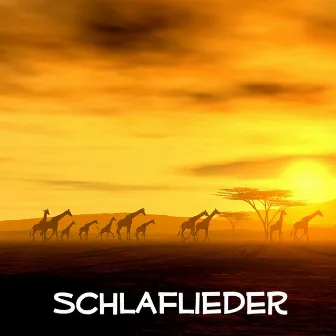 Schlaflieder by Schlaflieder