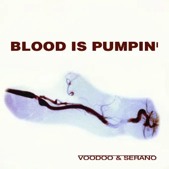 Blood Is Pumping by Voodoo & Serano