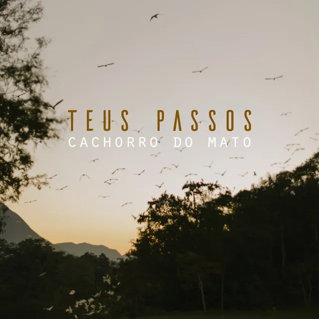 Teus Passos