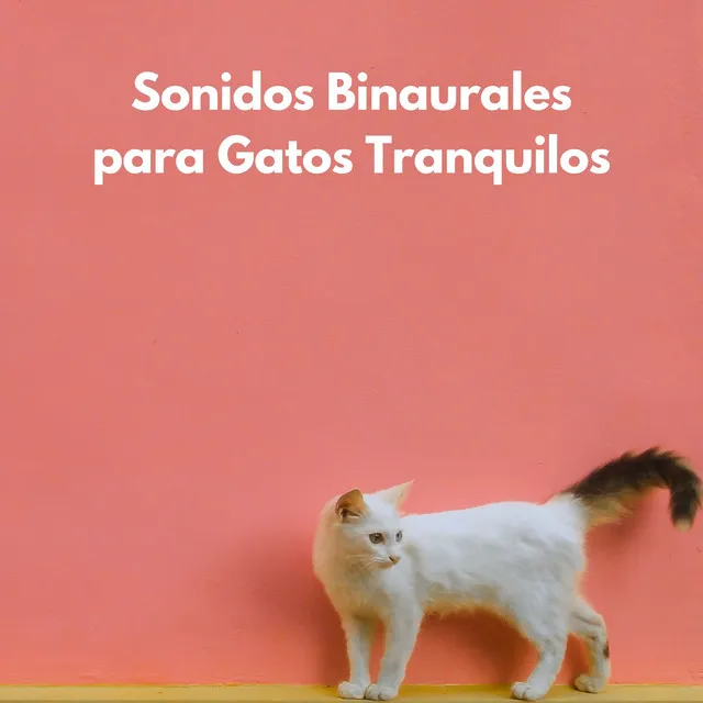 Serenata Binaural Felina