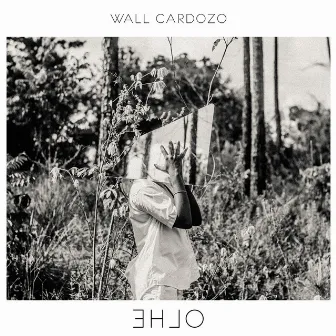 EHLO by Wall Cardozo