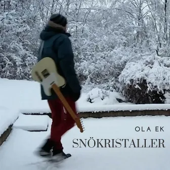 Snökristaller by Ola Ek