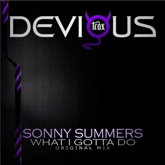 What I Gotta Do by Sonny Summers