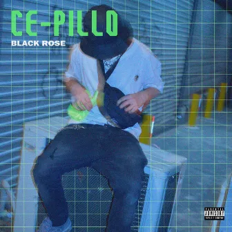 Ce-Pillo by Black Rose