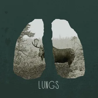 Summer 14 (EP) by Lungs