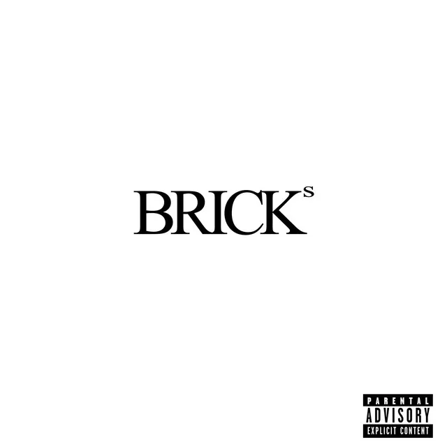 BRICKS