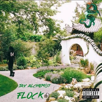 FLOCK by Jay Alchemist