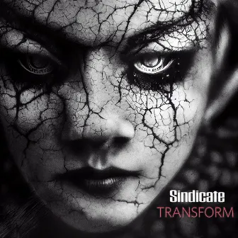 Transform by Sindicate