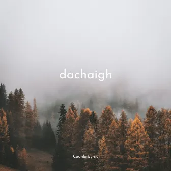 Dachaigh by Cadhla Byrne