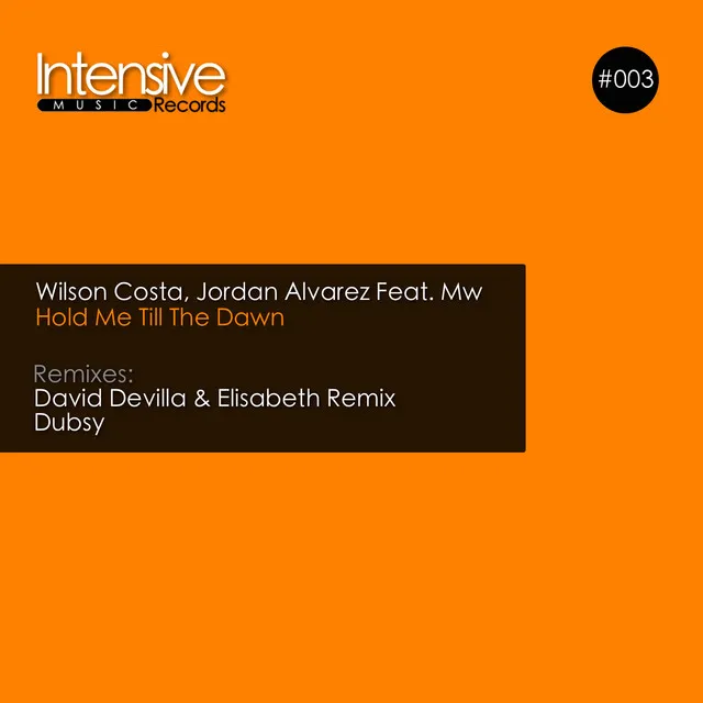 Hold Me Till the Dawn - Dubsy Remix