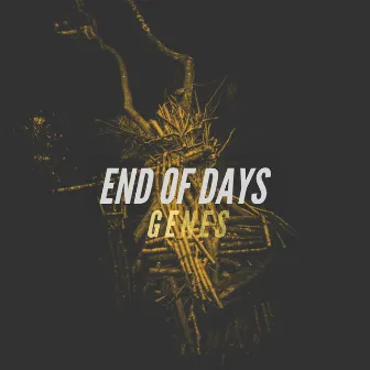 End Of Days by GENES