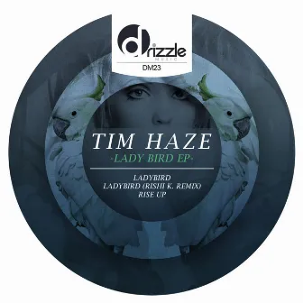 Ladybird EP by Tim Haze