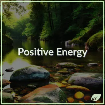 Meditation Music Relax Mind & Body (Meditation Music For Positive Energy & Sleep Music) by Sleep Beats Binaural