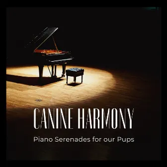 Canine Harmony: Piano Serenades for our Pups by Dog Music Jukebox