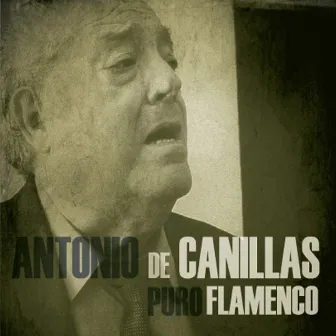 Puro Flamenco by Antonio de Canillas