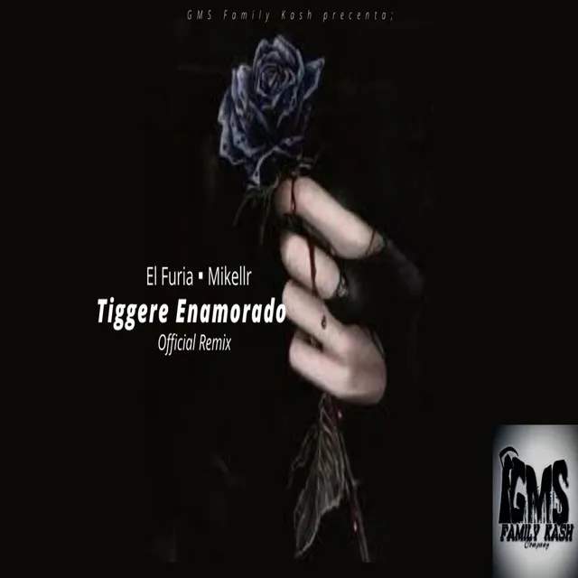 Tiggere Enamorado (Remix)