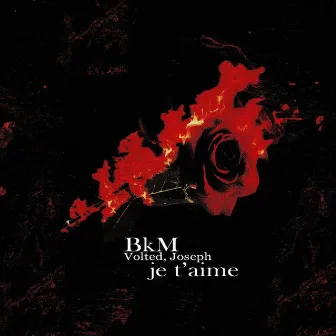 Je t'aime by Bkm