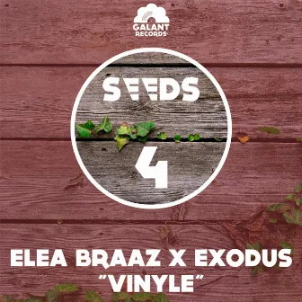 Vinyle by Elea Braaz