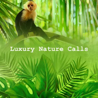 Luxury Nature Calls by Nature Is Calling