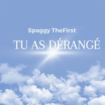 Tu as dérangé by Spaggy Thefirst